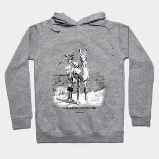 Guanaco N°1.1 - Patagonia Insurgente Hoodie